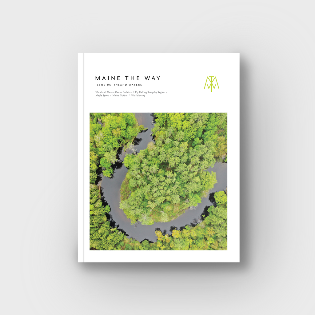 issue 06: inland waters
