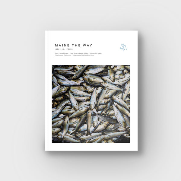 issue 02: spring