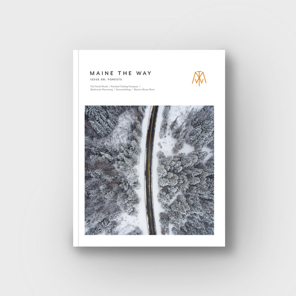 issue 08: forests